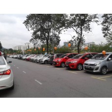 Helium Printed Balloons Car Distribution 